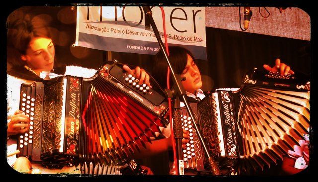 concertinas11a